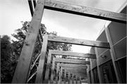 Candlebark Library 6